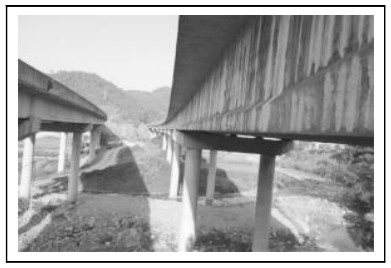 1590137283231231.png 1.png