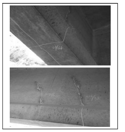 1590137513584320.png 1.png