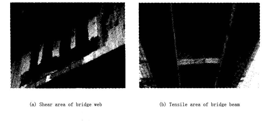 1590568738783140.jpg 1.jpg