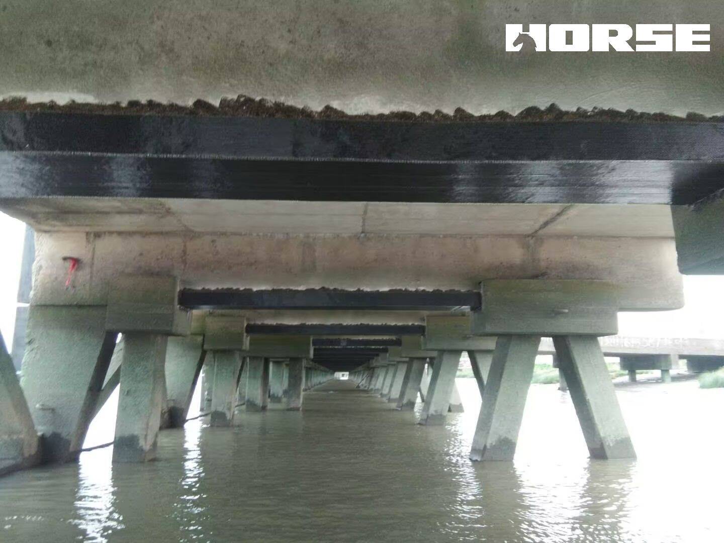 Carbon Fiber Reinforced Polymer(FRP) for Sea Crossing Bridge Carbon Fiber Reinforced Polymer(FRP) for Sea Crossing Bridge