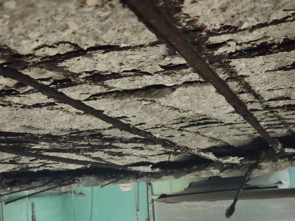 1709626623917247.jpg temp_image_20240305_105720_67771ac7-38b7-4dff-b1a5-264e89ec4afe.jpg